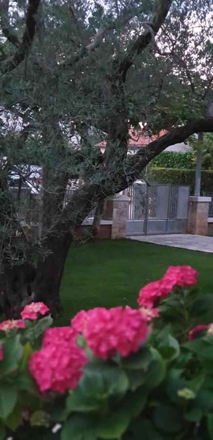 Apartments Cocaletto5 روفينج المظهر الخارجي الصورة